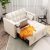 Beige White Vevlet 2 Seater